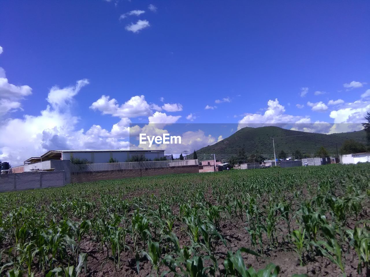 VIEW OF RURAL LANDSCAPE