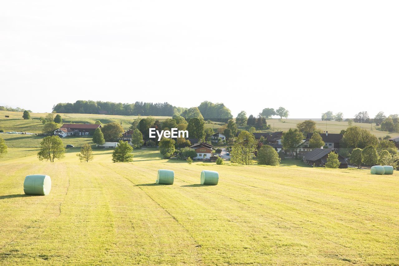 HAY BALES ON FIELD AGAINST SKY