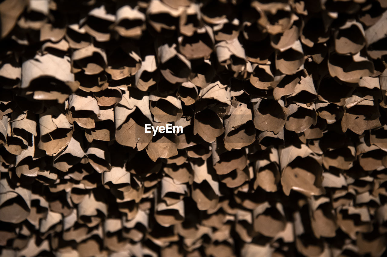 View of the artwork made of dried leaves