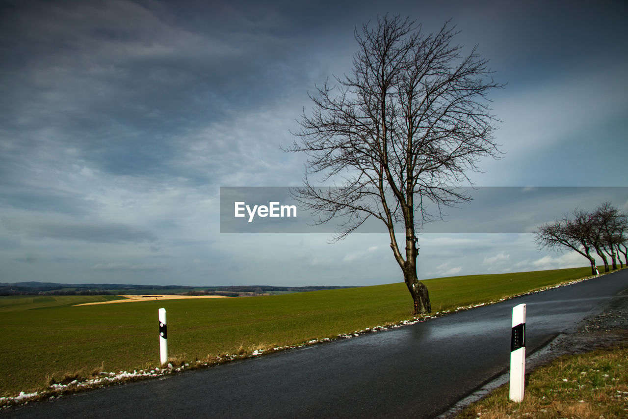 BARE TREE ON FIELD AGAINST SKY