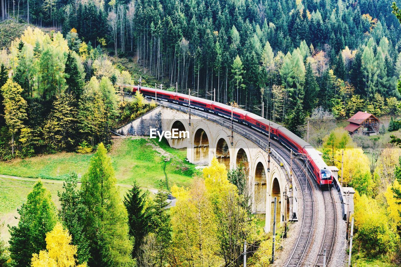 High angle view of train on bridge amidst trees