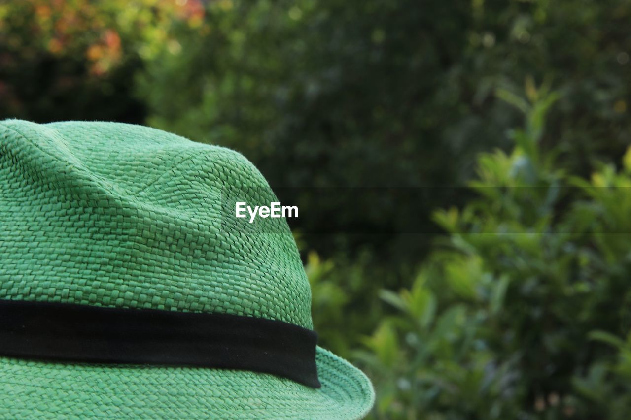 Close-up of green hat 