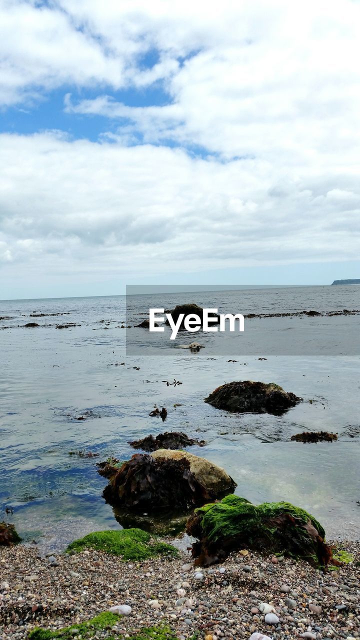 SCENIC VIEW OF SEA AND SKY