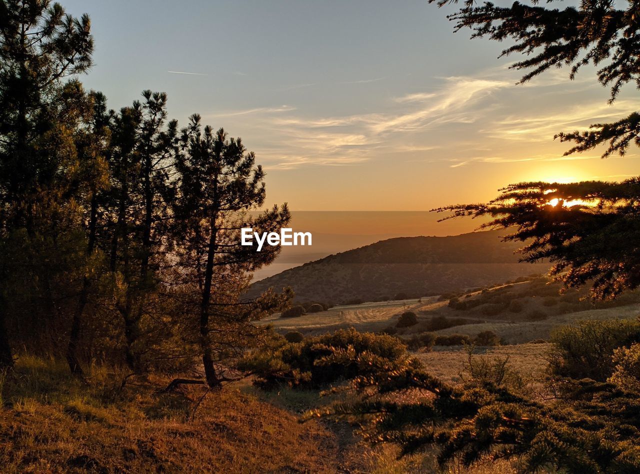 Scenic view of landscape against sky during sunset