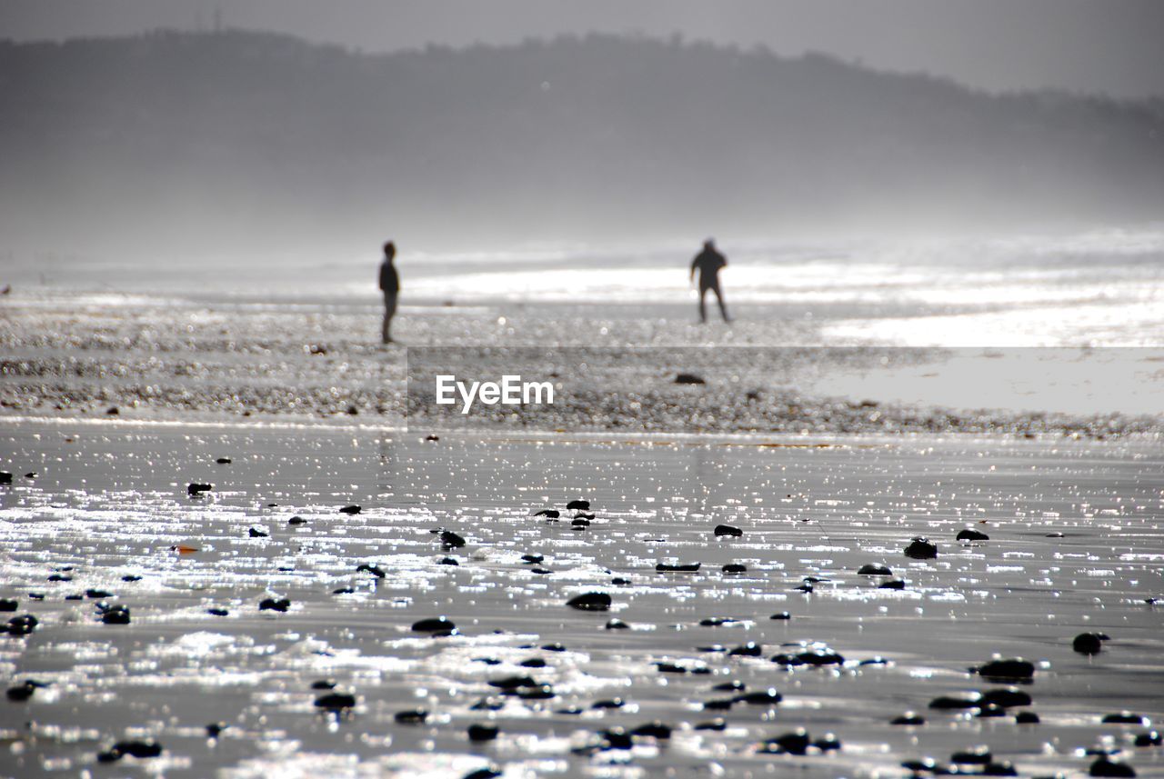 People at beach