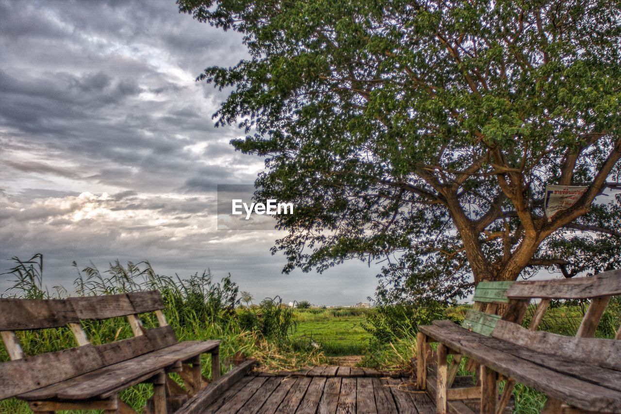 VIEW OF TREES ON LANDSCAPE AGAINST SKY