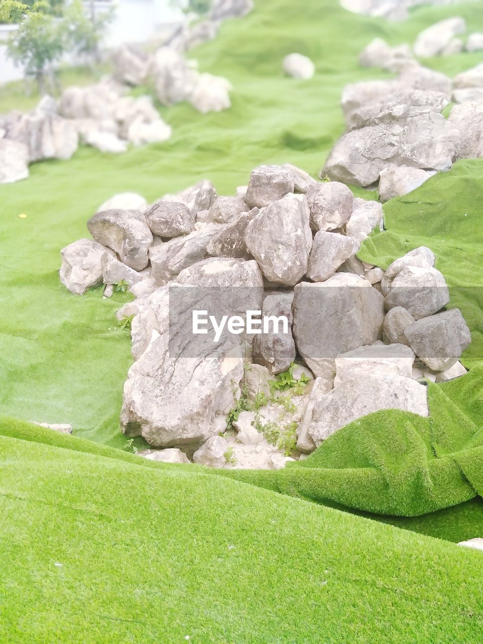 CLOSE-UP OF STONES ON FIELD