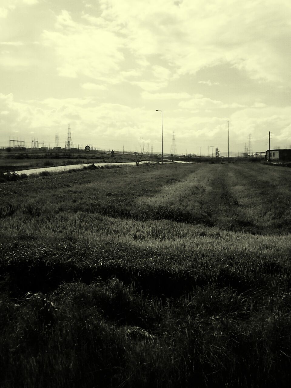 Scenic view of grassy field against sky