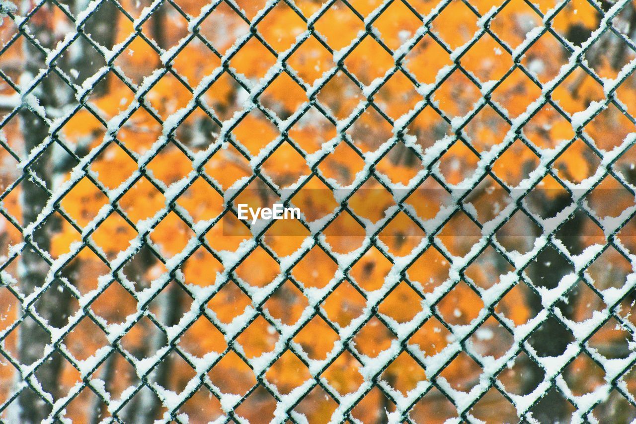 Chain-link fence covered in snow in fall colors