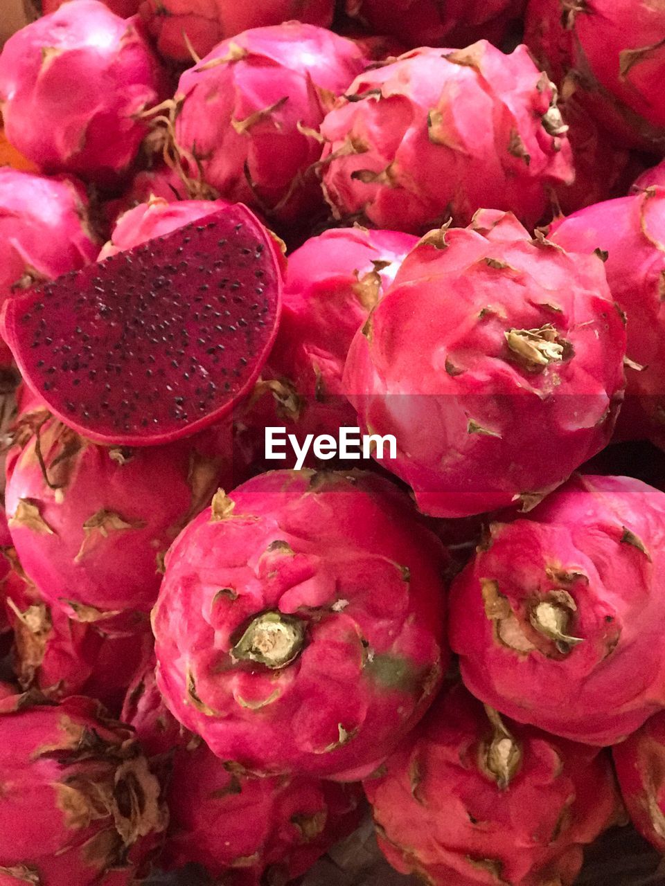 FULL FRAME OF PINK FLOWERS