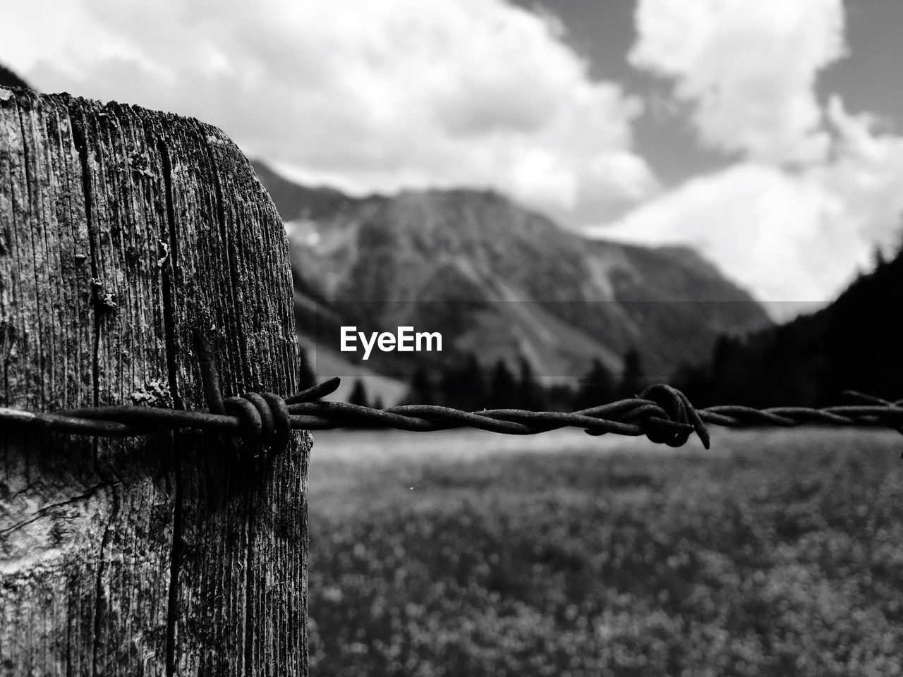 Close-up of barbed wire fence on land against sky