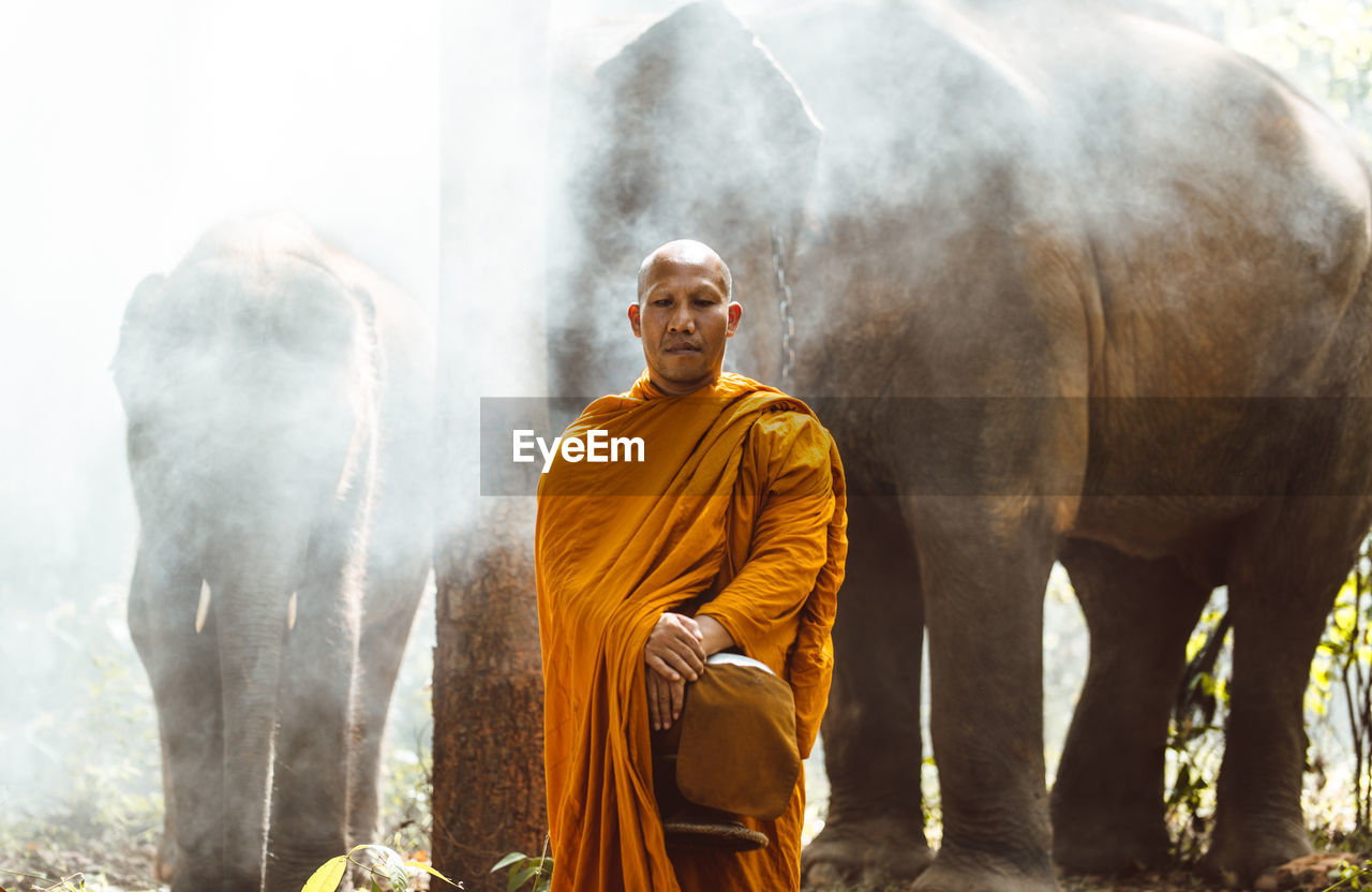 Portrait of monk standing against elephant in forest