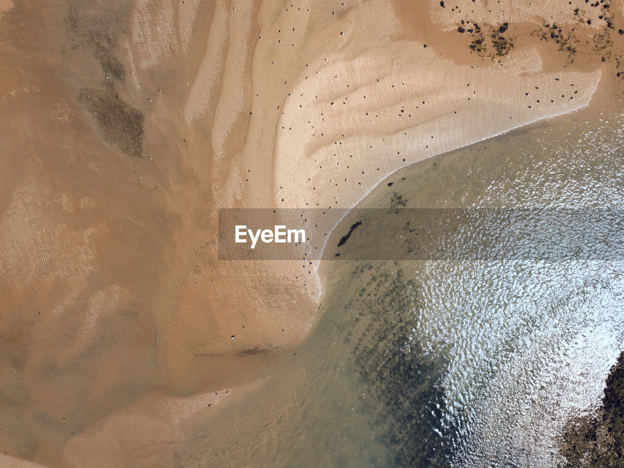 Top down drone view of sand dunes and beach in sea