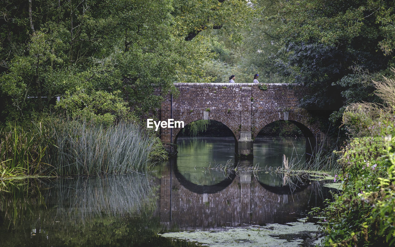 Arch bridge over river in forest