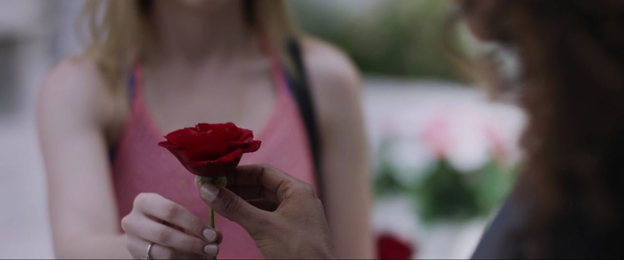 Close-up of woman giving rose to friend