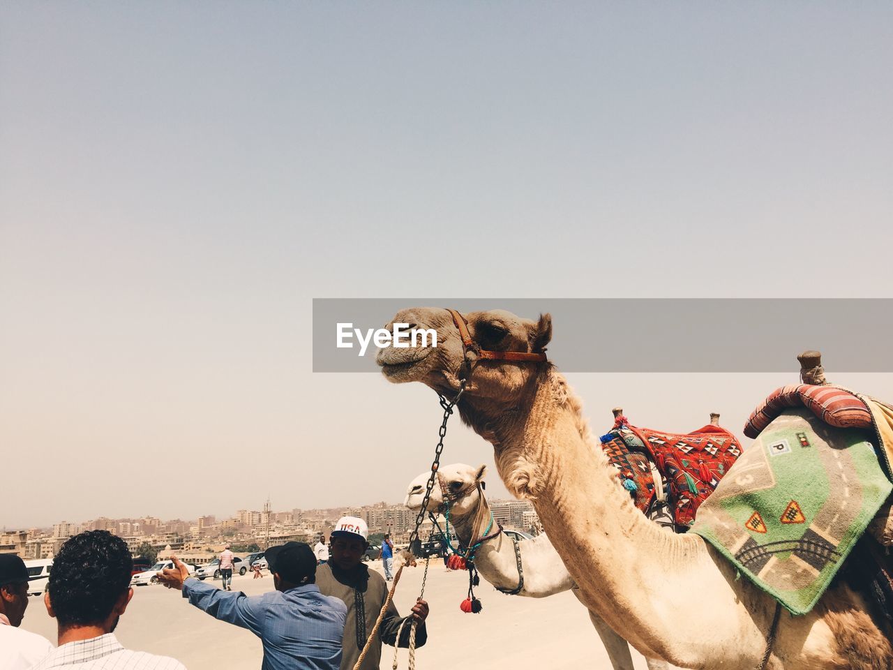 Panoramic view of people on desert against sky