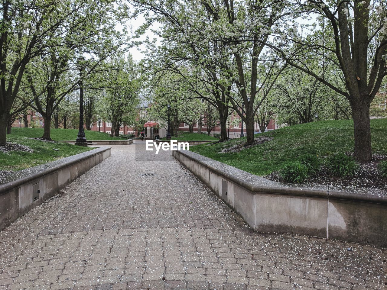 VIEW OF FOOTPATH IN PARK