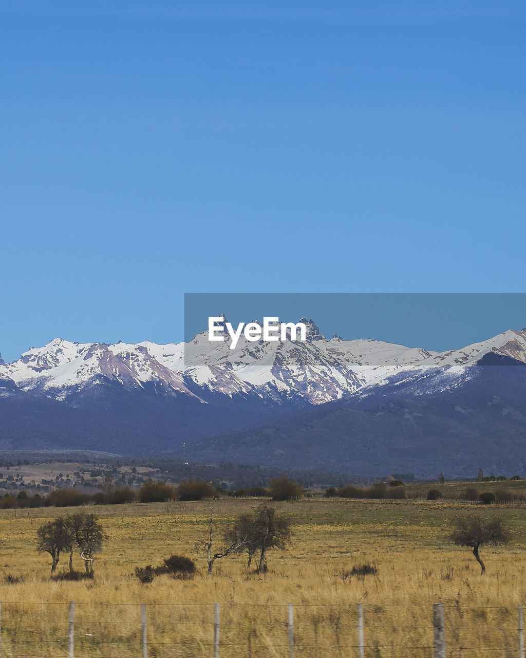 Scenic view of grassy field amidst snowcapped mountain against clear blue sky