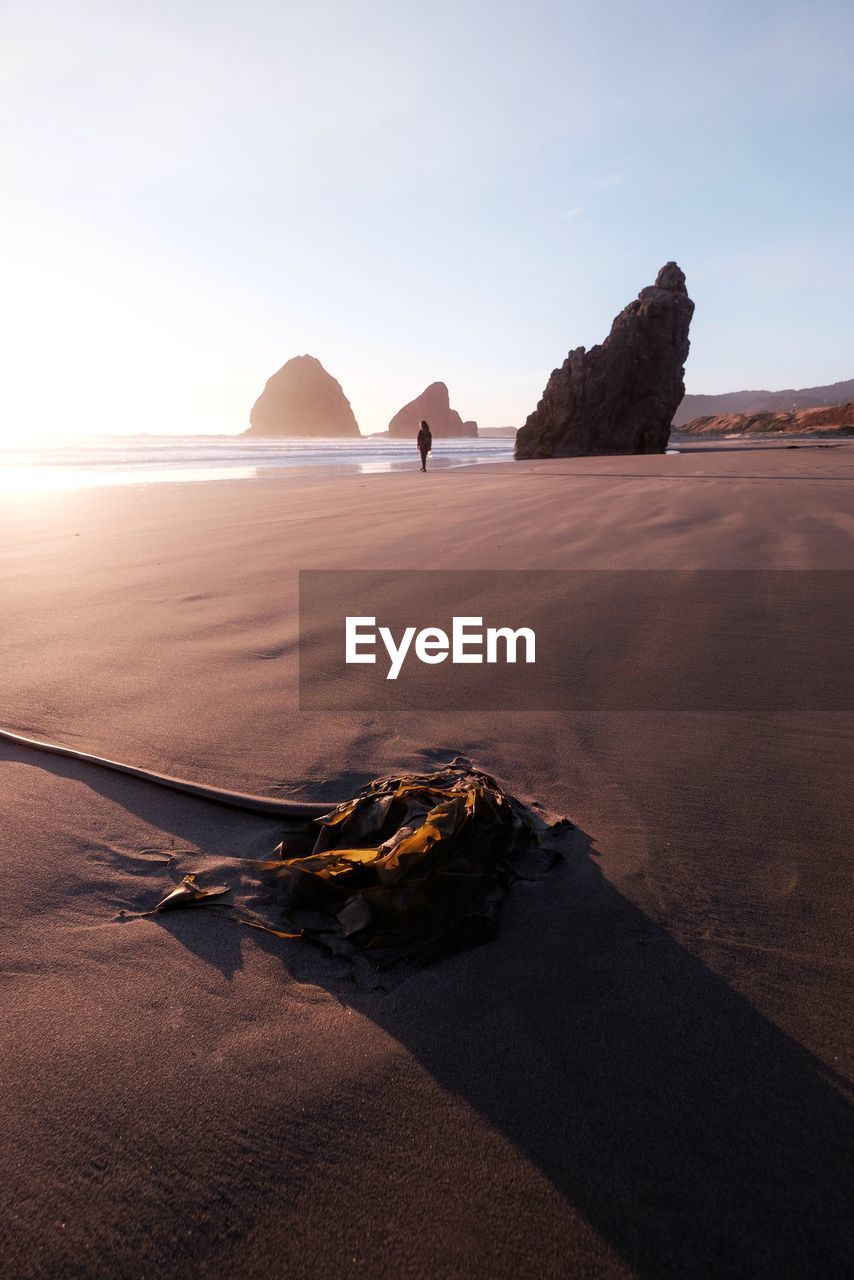 Scenic view of beach against clear sky