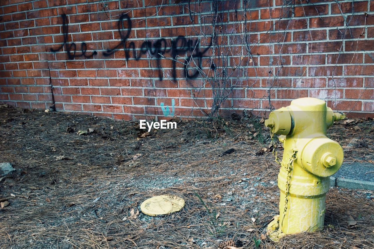 Close-up of fire hydrant against brick wall