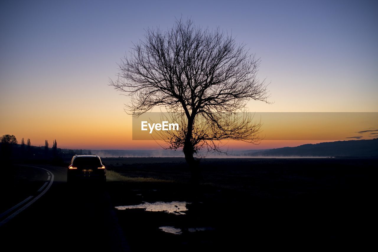 SILHOUETTE BARE TREE AGAINST SKY DURING SUNSET