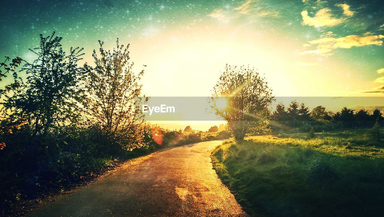 Curved country road along trees and sunbeam