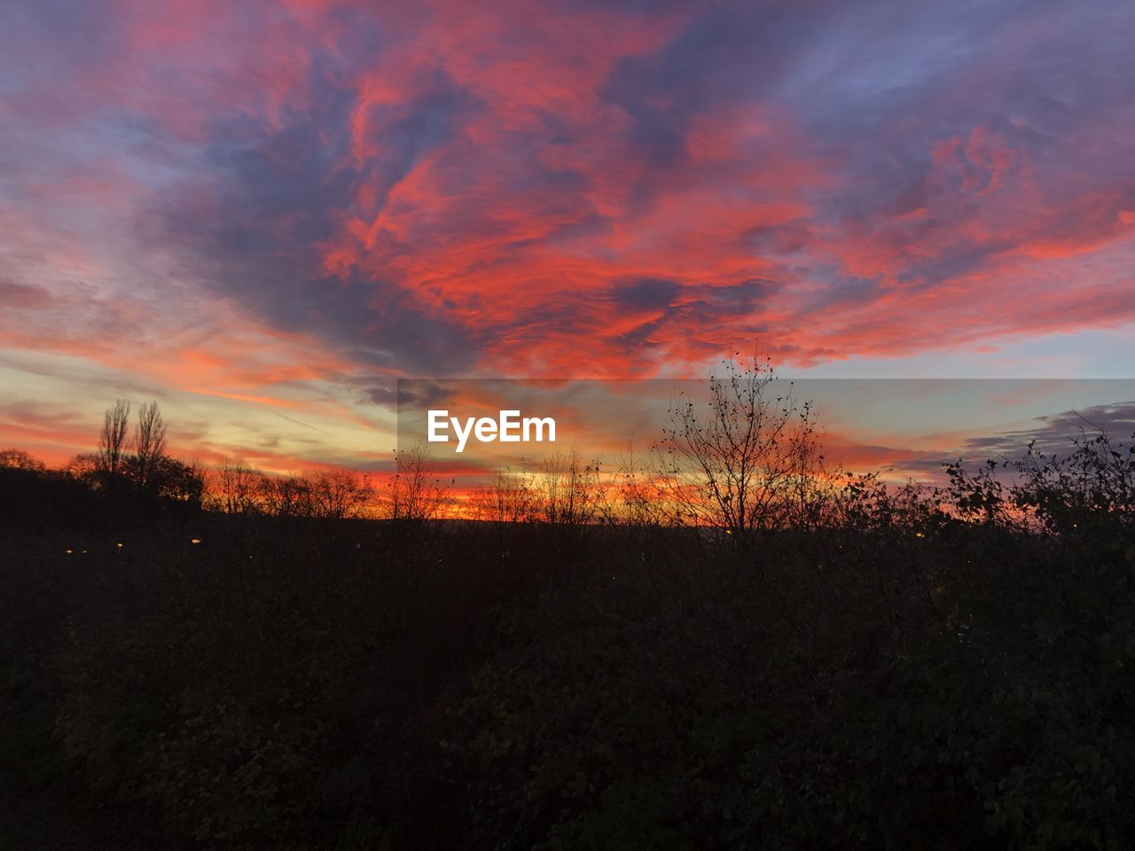 SILHOUETTE TREES ON FIELD AGAINST SKY DURING SUNSET