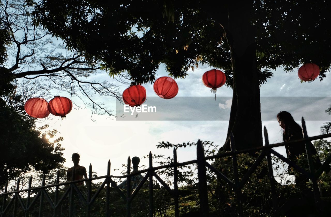 LOW ANGLE VIEW OF LANTERN AGAINST TREES