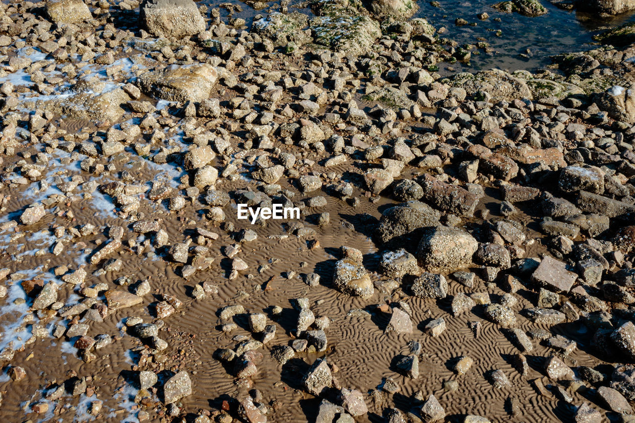 HIGH ANGLE VIEW OF SNAKE ON BEACH