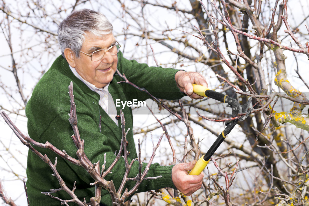 Senior man cutting bare tree branch