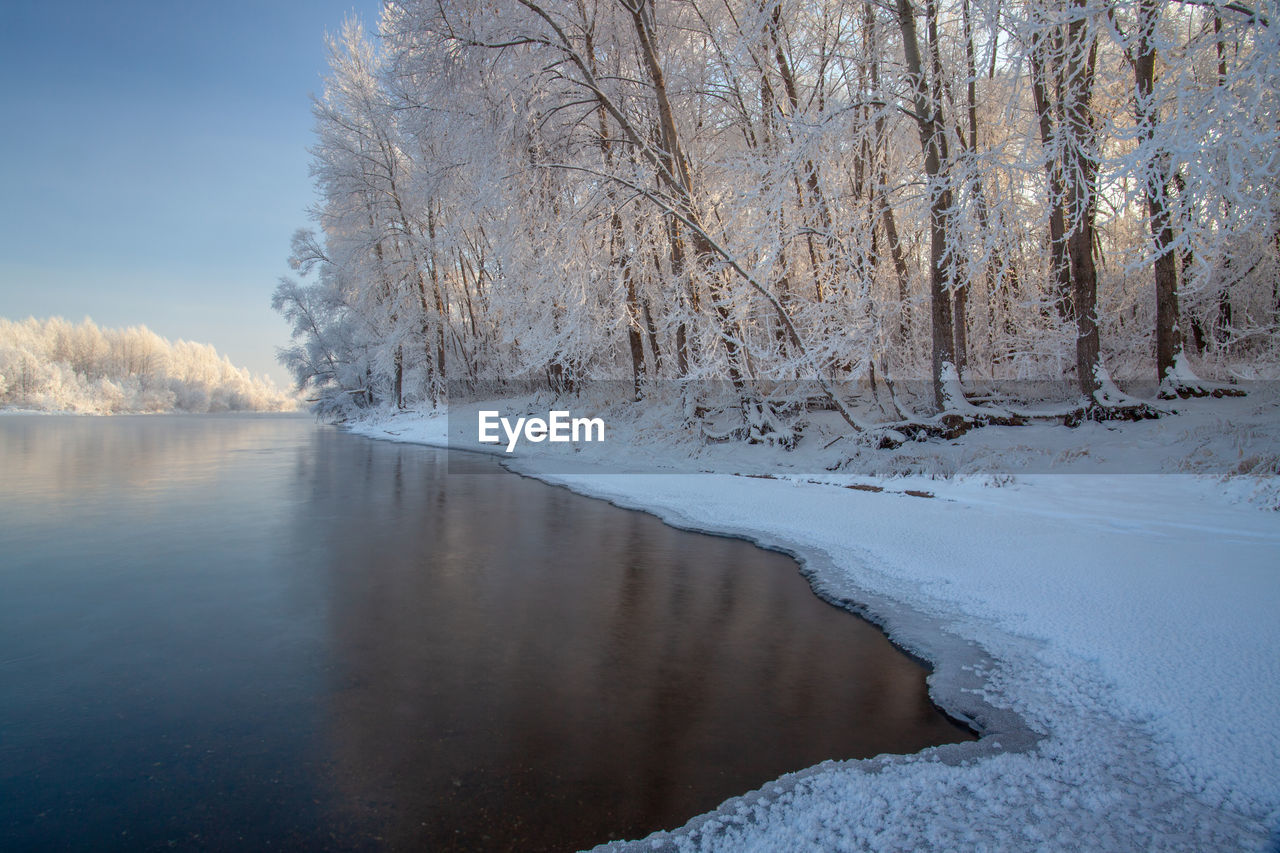 SCENIC VIEW OF FROZEN LAKE BY TREES