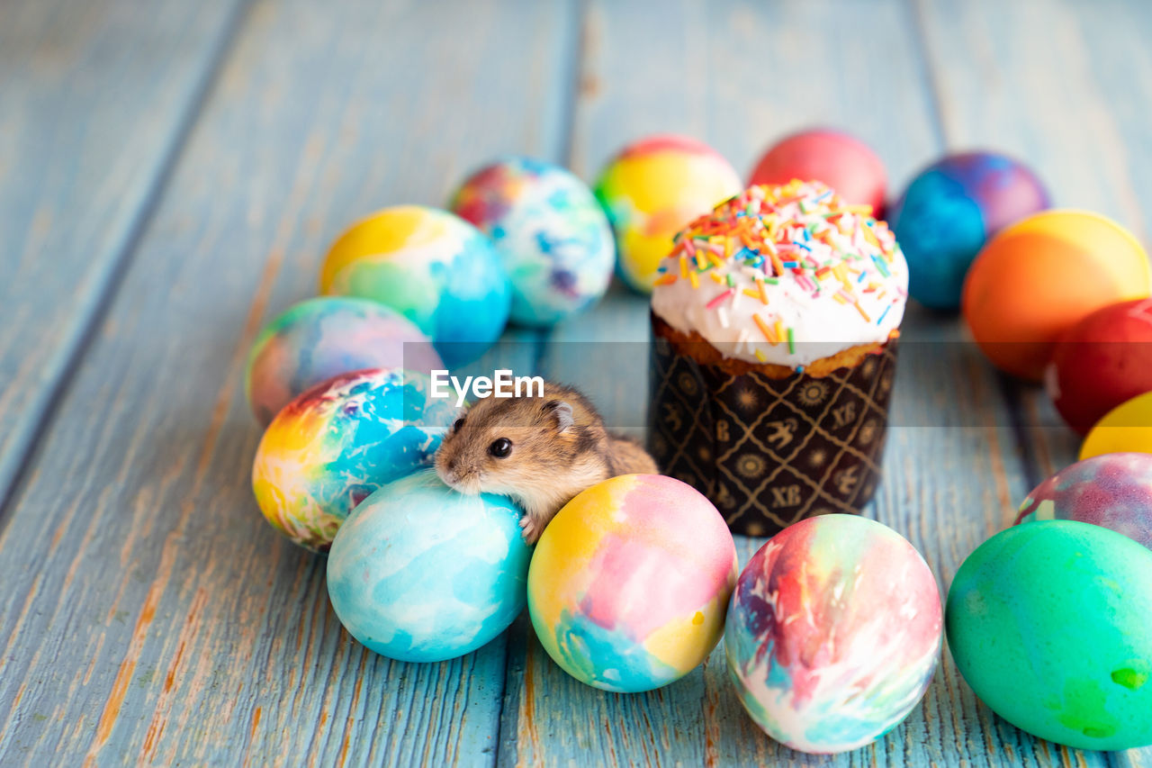 CLOSE-UP OF MULTI COLORED EGGS ON CANDIES