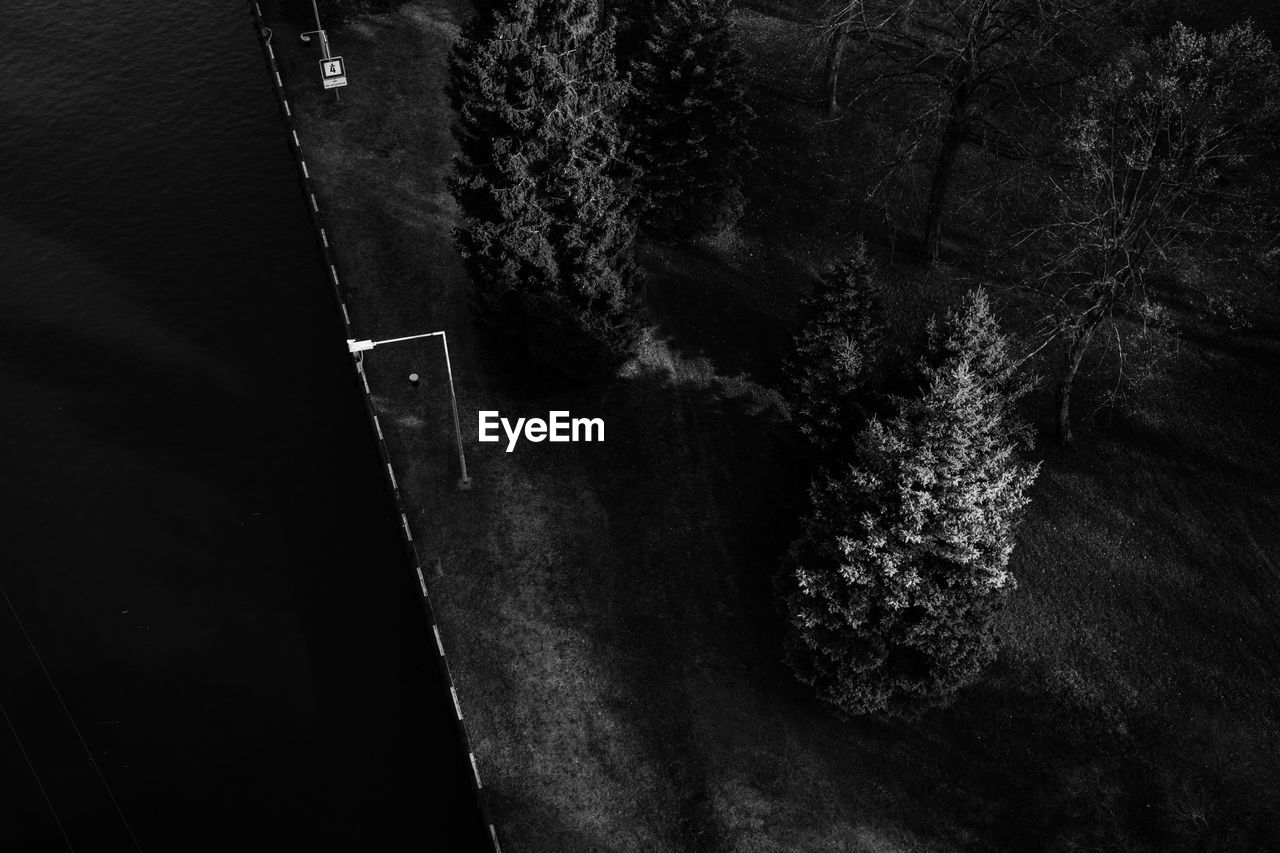 High angle view of road against trees