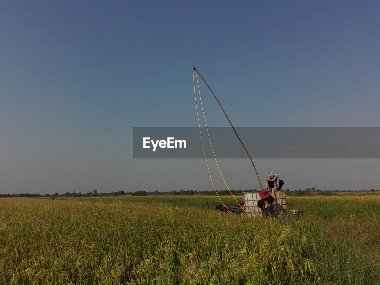 sky, field, plant, nature, land, landscape, environment, wind, rural scene, agriculture, growth, prairie, horizon, clear sky, grass, plain, beauty in nature, crop, windsports, day, scenics - nature, transportation, outdoors, men, tranquility, tranquil scene, adult, rural area, blue, occupation, farm