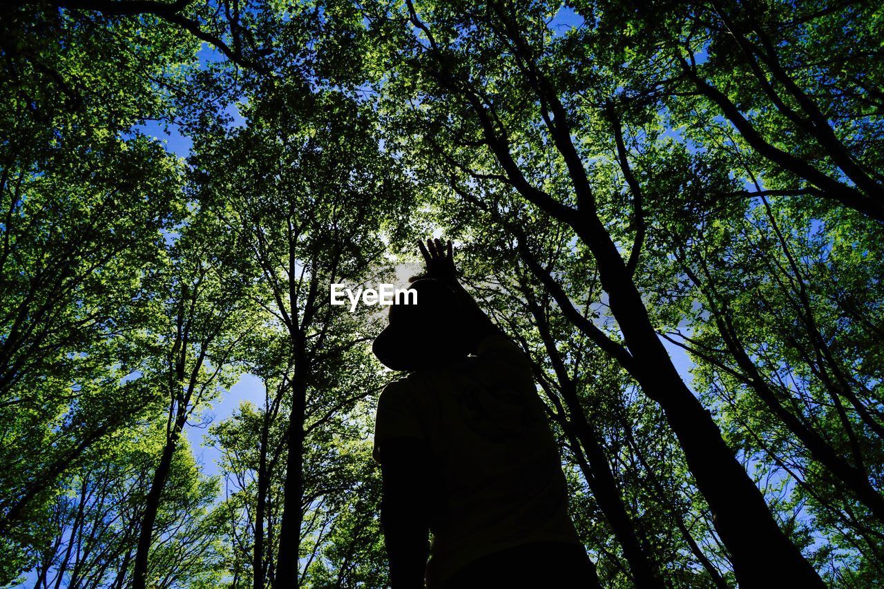 LOW ANGLE VIEW OF SILHOUETTE MAN IN FOREST