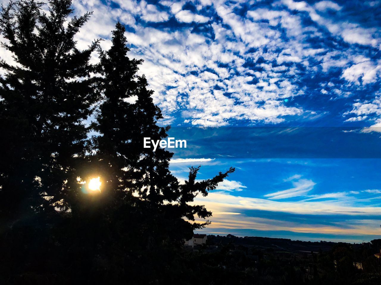 LOW ANGLE VIEW OF SILHOUETTE TREE AGAINST SKY