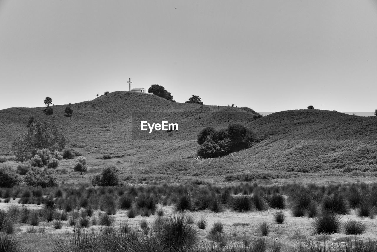 Scenic view of field against clear sky