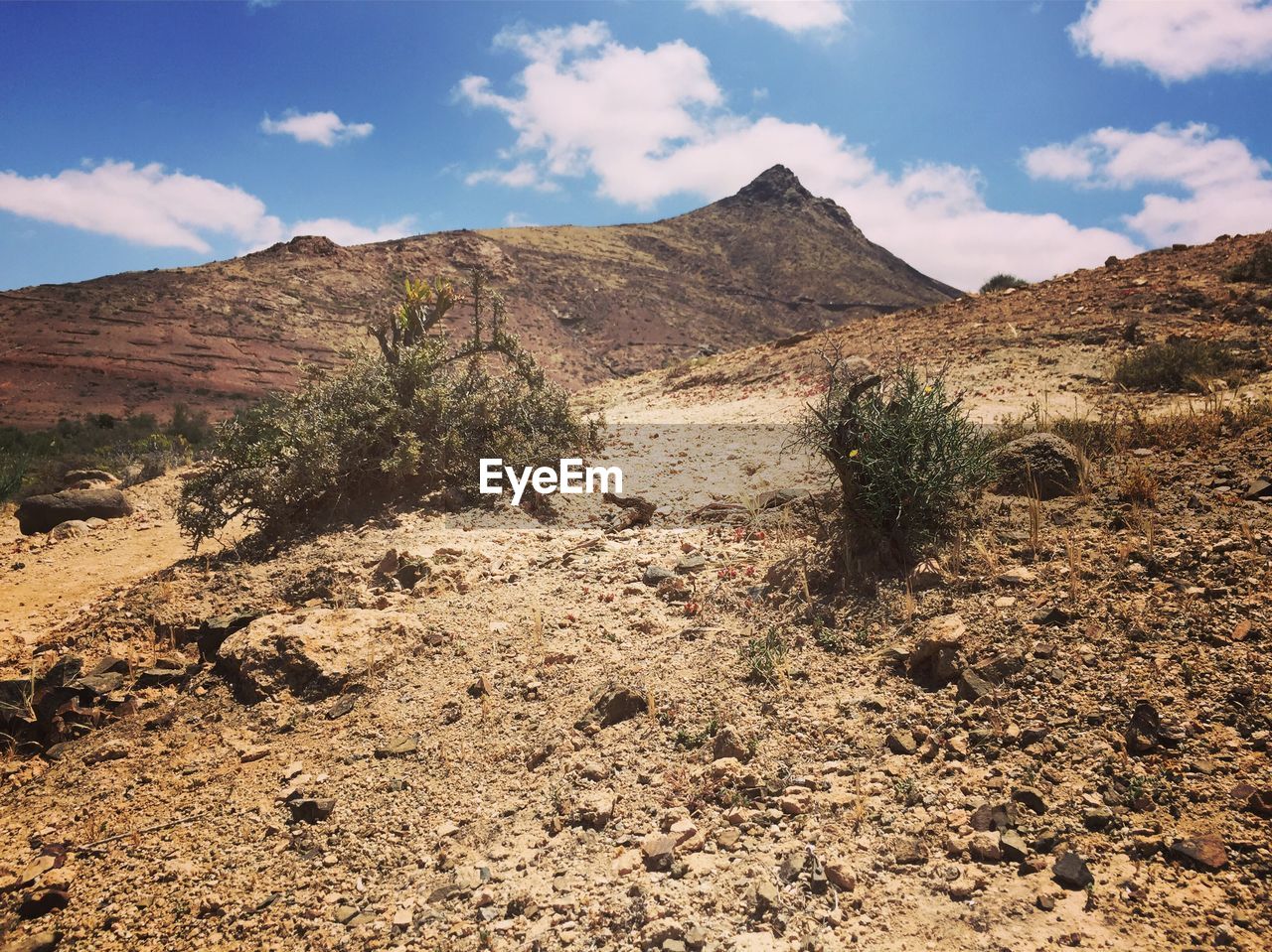 Scenic view of desert against sky