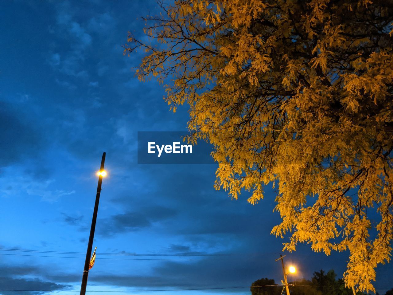 LOW ANGLE VIEW OF ILLUMINATED STREET LIGHT AT NIGHT