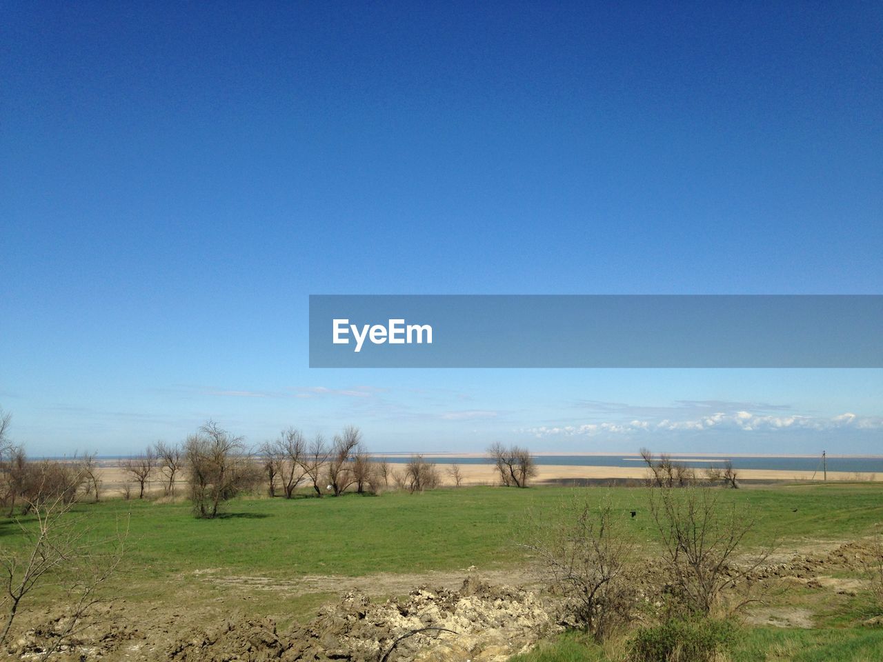 Scenic view of grassy field against blue sky