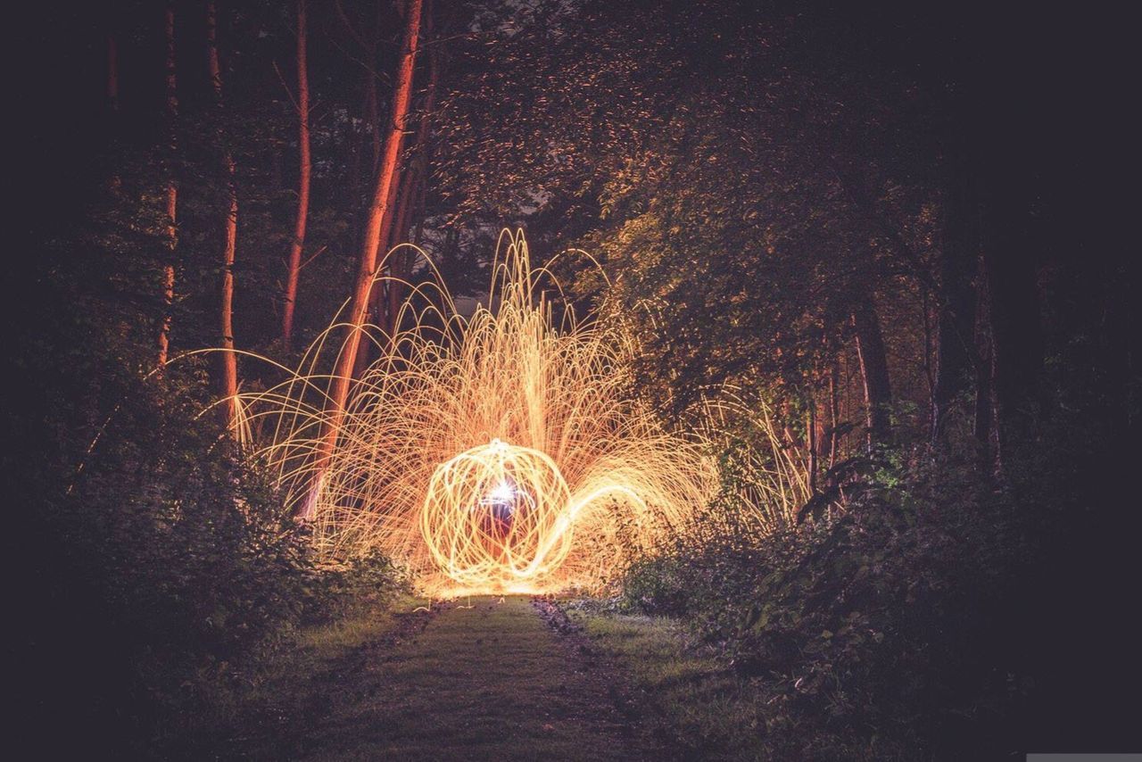 Wire wool on footpath amidst trees in forest