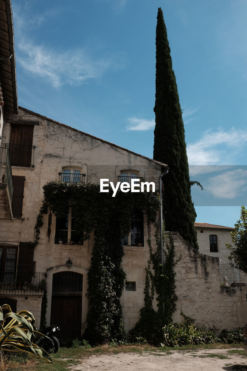 OLD BUILDING BY TREE AGAINST SKY