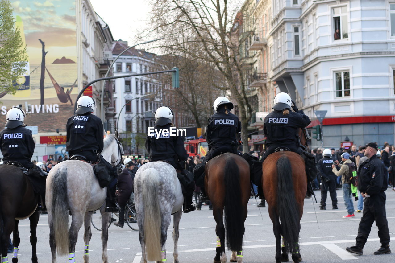 Police officers in row on horses