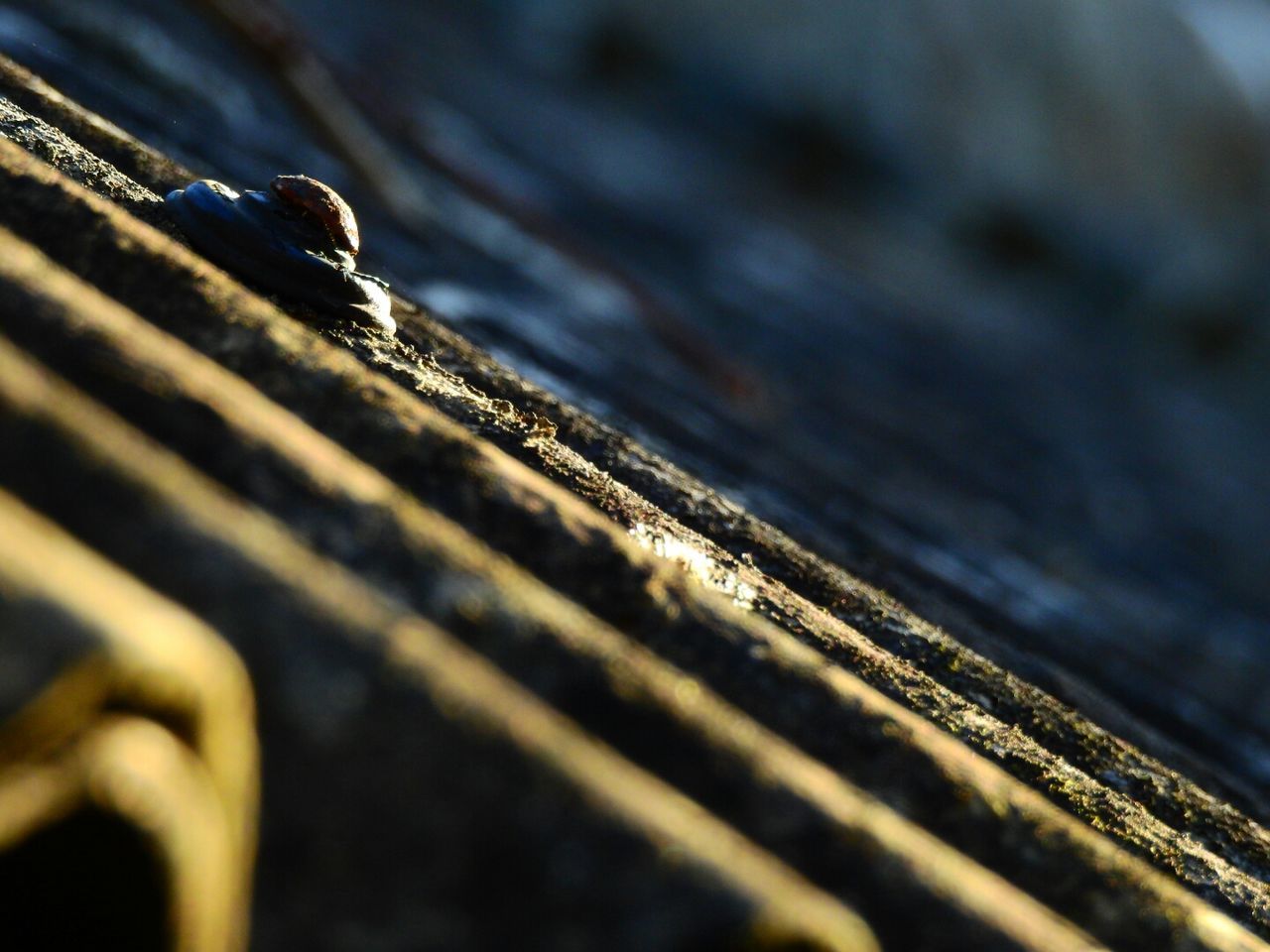 CLOSE-UP OF RUSTY WOOD ON WOODEN SURFACE
