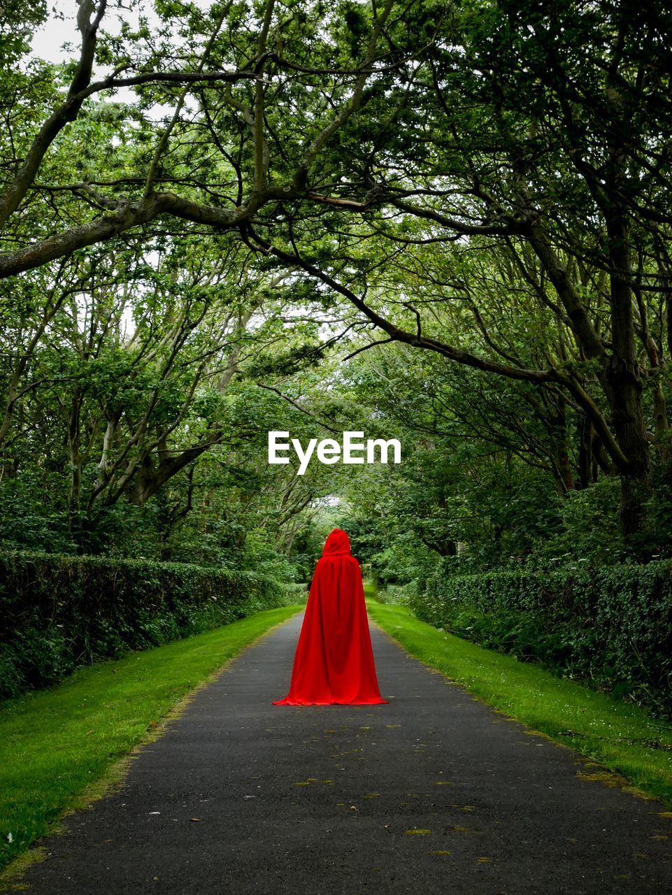 Rear view of person wearing red cape while standing on footpath in forest