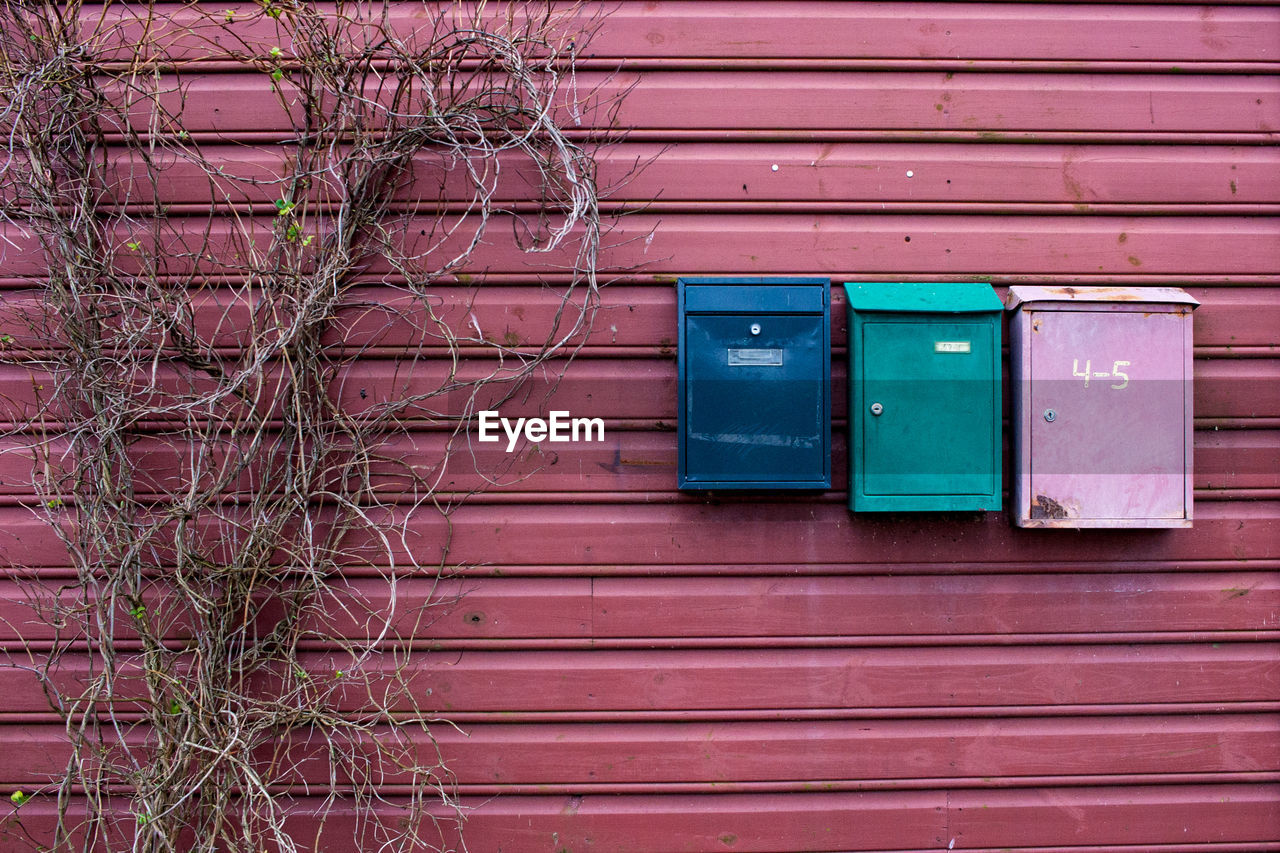 Colorful mailboxes by dried plants on wall