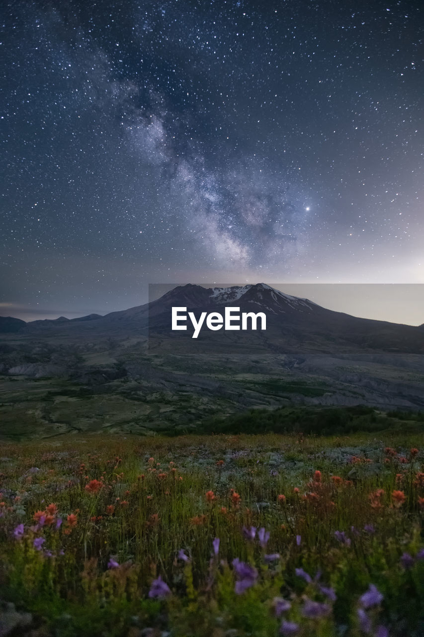 Scenic view of flowering plants on field against sky