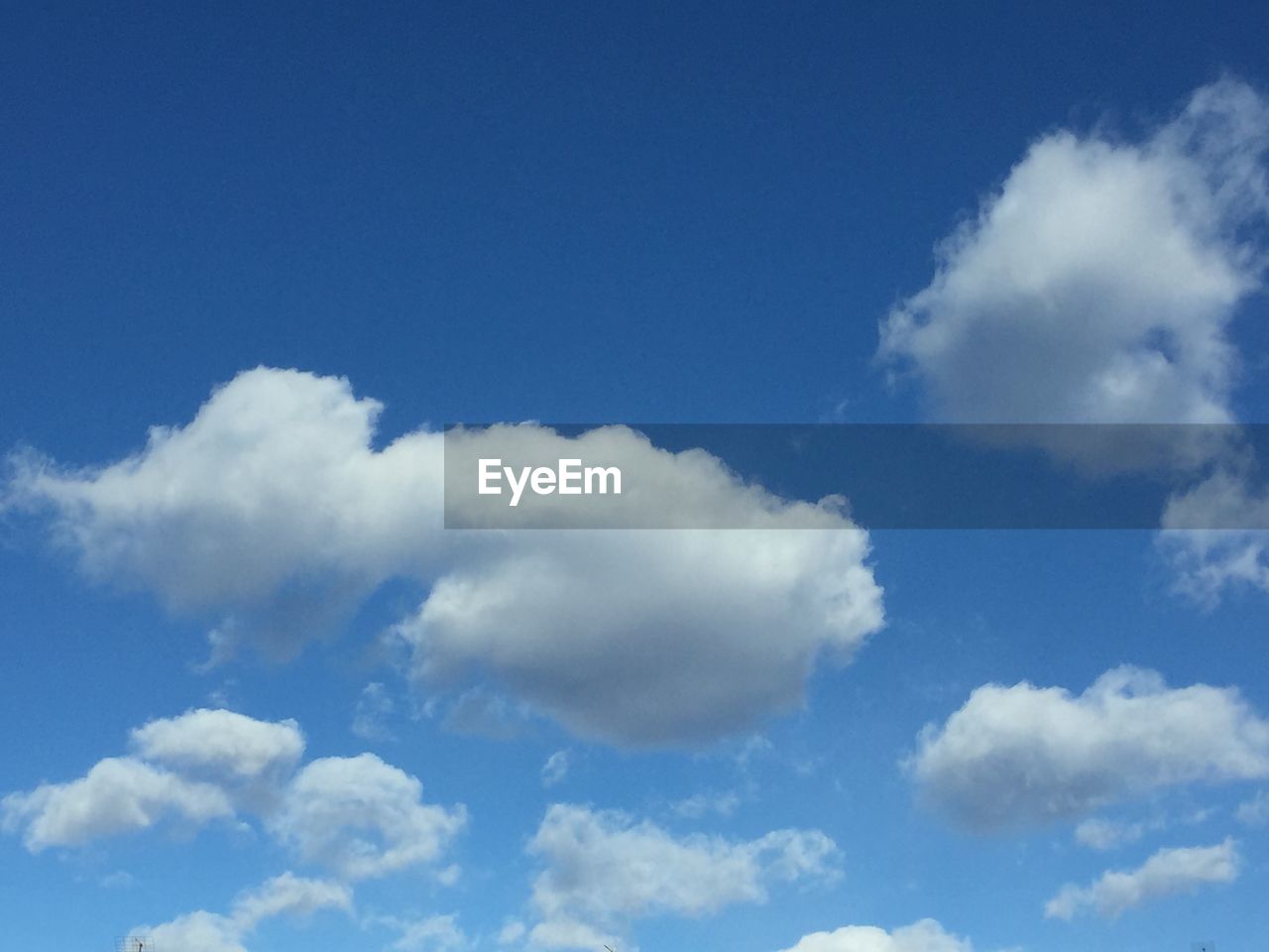 LOW ANGLE VIEW OF TREES AGAINST BLUE SKY