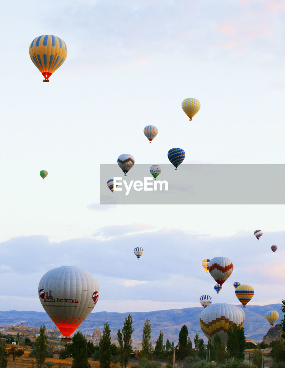 MULTI COLORED HOT AIR BALLOONS FLYING IN SKY