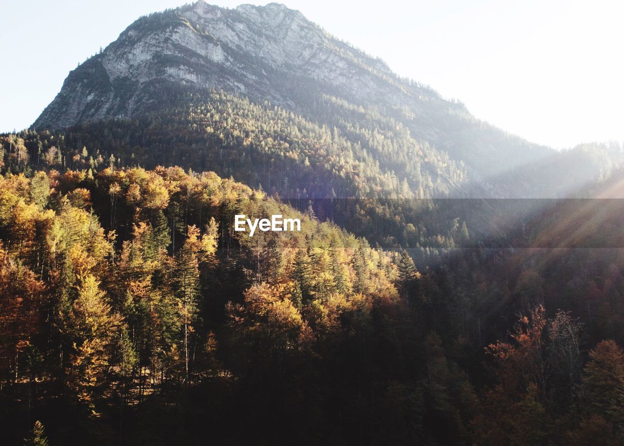SCENIC VIEW OF MOUNTAINS